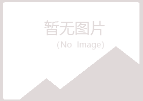 安图县友蕊冶炼有限公司